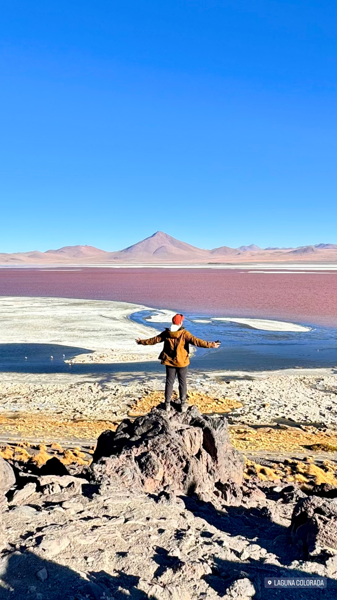 Person standing on rocky outcrop overlooking pink-colored salt lake with mountains